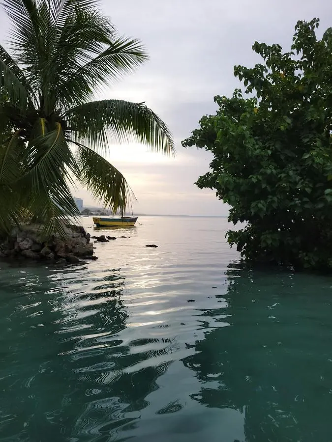 Апартаменты Munzels Oceanview Retreat Очо-Риос