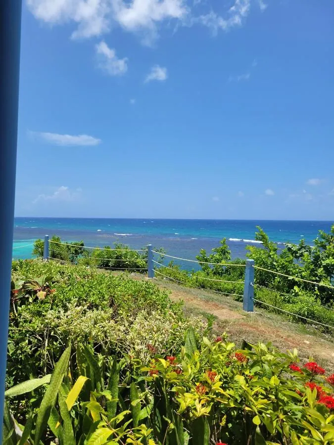 Апартаменты Munzels Oceanview Retreat Очо-Риос