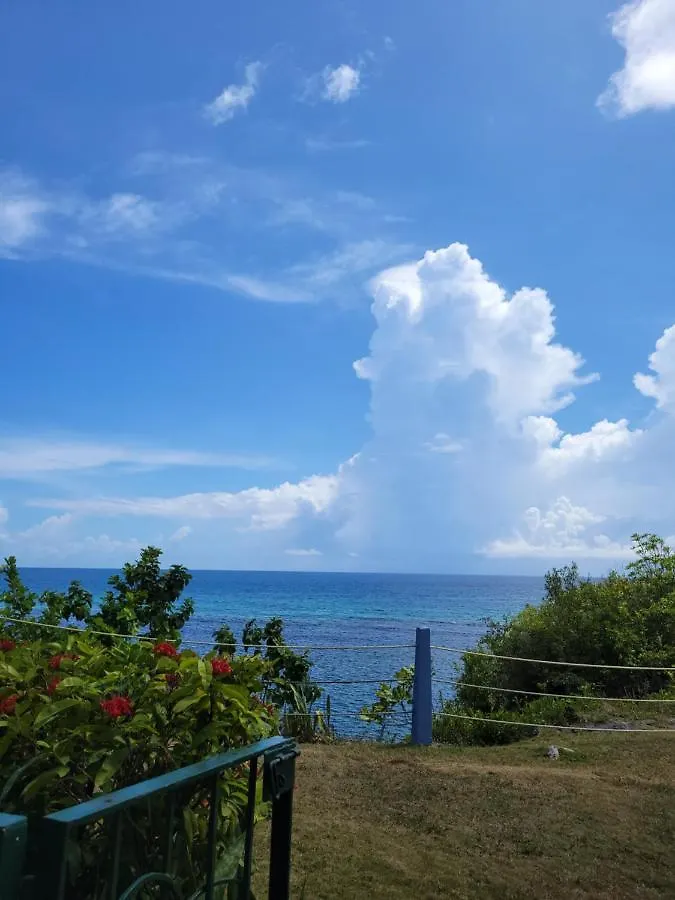 Апартаменты Munzels Oceanview Retreat Очо-Риос