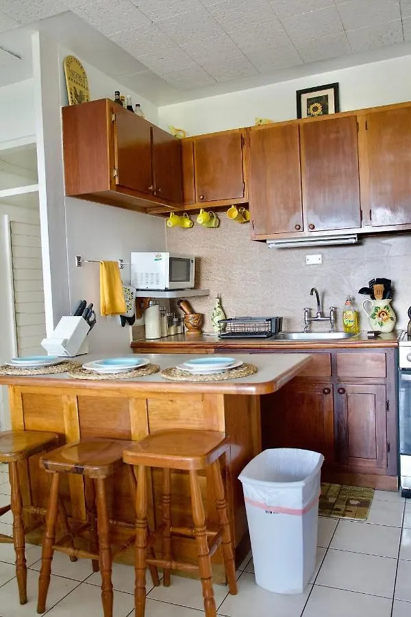 Munzels Oceanview Retreat Apartment Ocho Rios 0*,